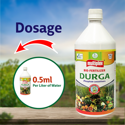 Multiplex Durga (PSB) Liquid Dosage