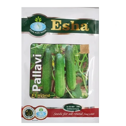 Esha Pallavi Cucumber Seeds - 25GM
