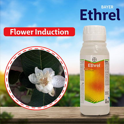 Bayer Ethrel - Plant Growth Regulator Flower Induction