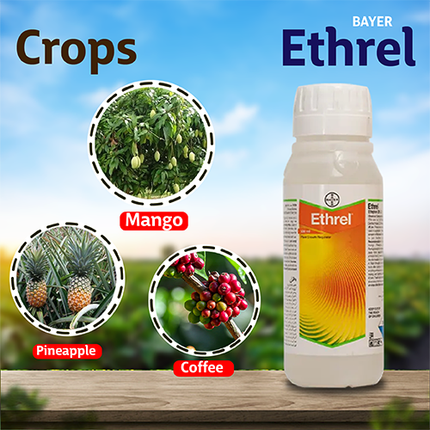 Bayer Ethrel - Plant Growth Regulator Crops