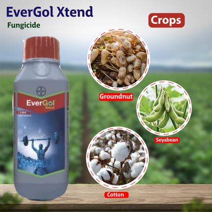 Bayer EverGol Xtend Fungicide Crops