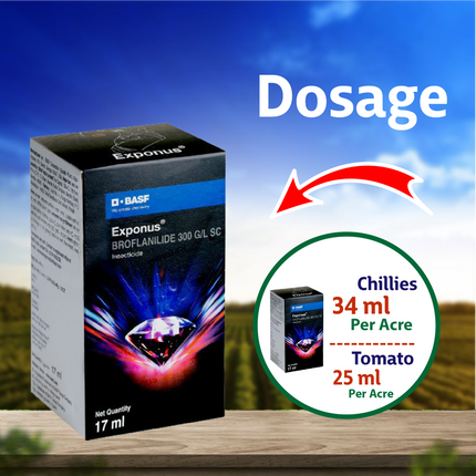 BASF Exponus Insecticide Dosage