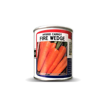 Taki Fire Wedge Carrot Seeds - 100 Gm