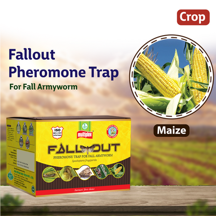 Multiplex Fallout Pheromone Trap Crop
