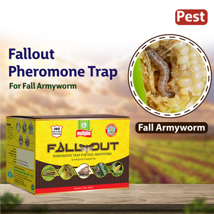 Multiplex Fallout Pheromone Trap pest
