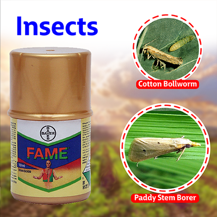 Bayer Fame Insecticide
