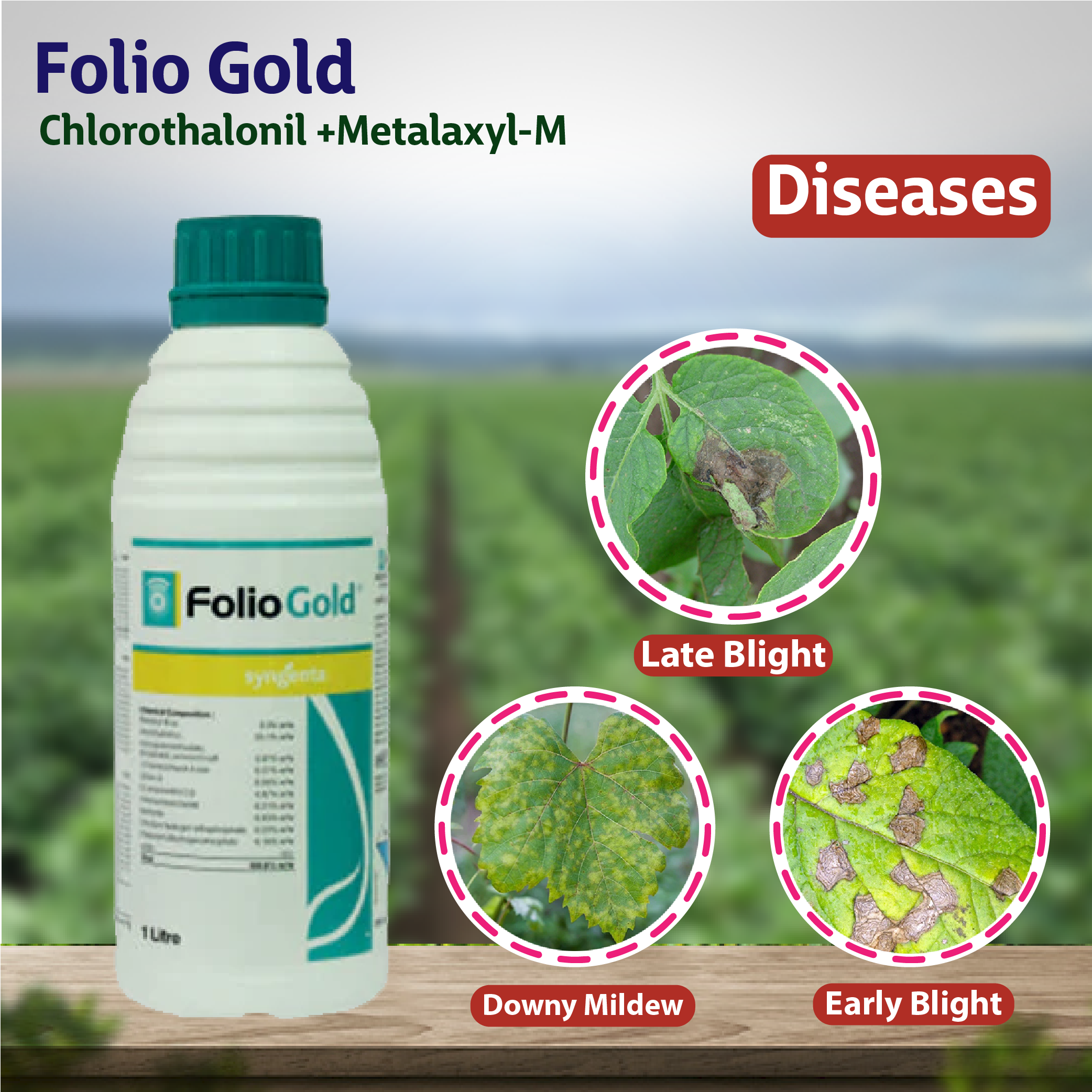 Syngenta Folio Gold Fungicide