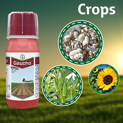 Bayer Gaucho Insecticide Crops