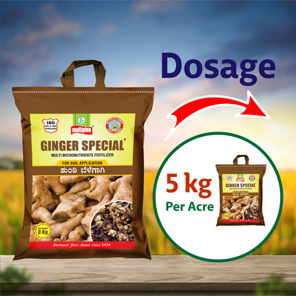 Multiplex Ginger Special (Multi Micronutrient Fertilizer)  Dosage