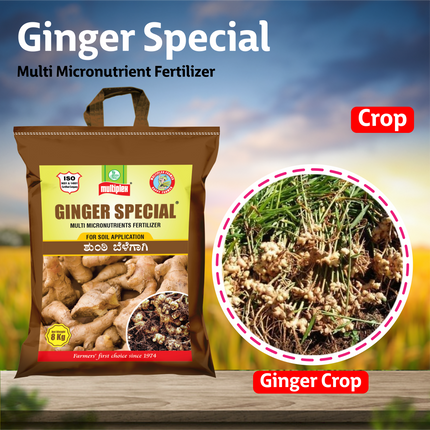 Multiplex Ginger Special (Multi Micronutrient Fertilizer)  Crop