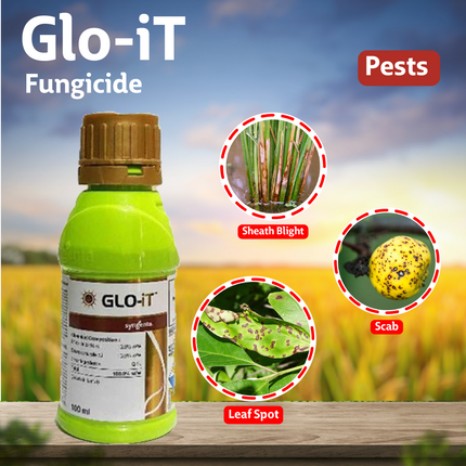 Syngenta Glo-iT Fungicide