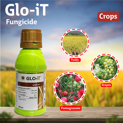 Syngenta Glo-iT Fungicide Crops