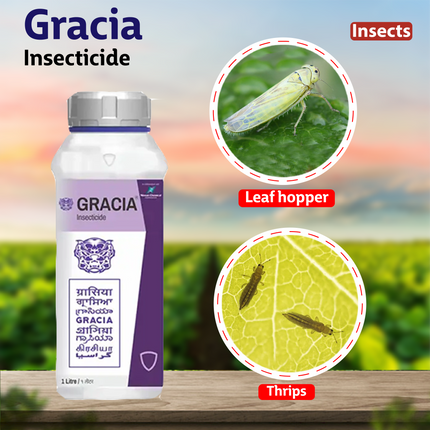 Godrej Gracia Insecticide Insects