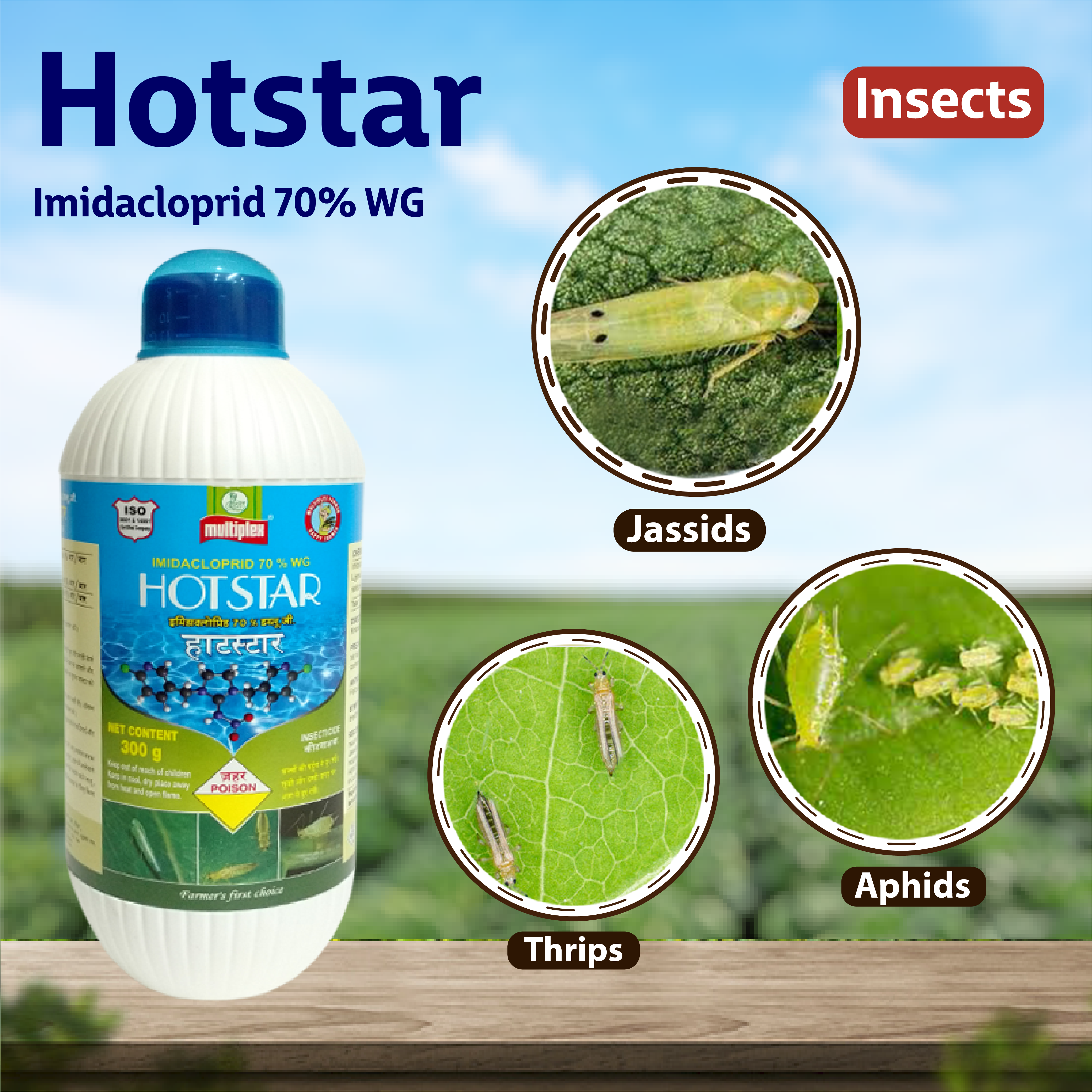 Multiplex Hot Star Insecticide – Agriplex