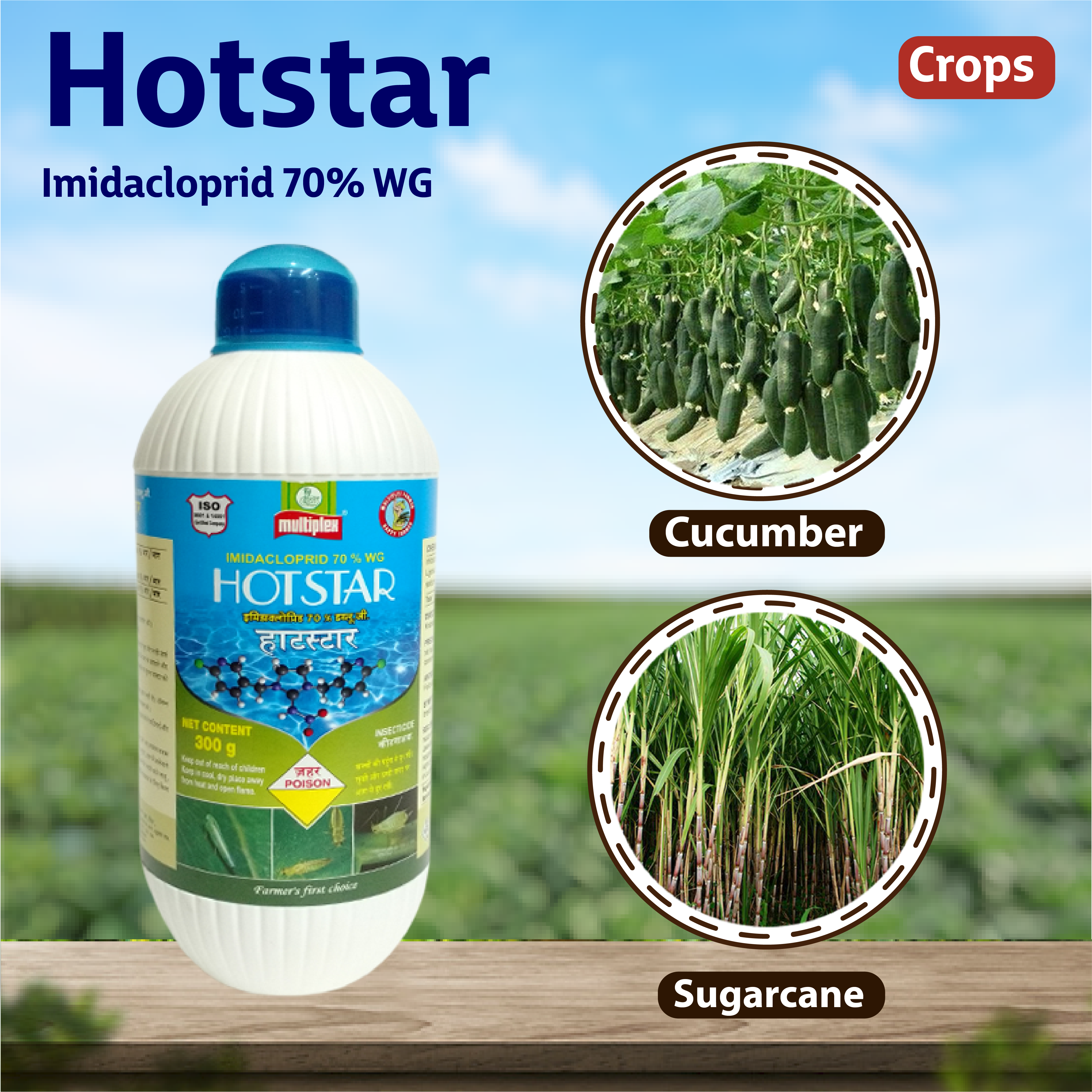 Multiplex Hot Star Insecticide – Agriplex