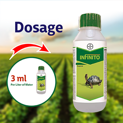Bayer Infinito Fungicide Dosage