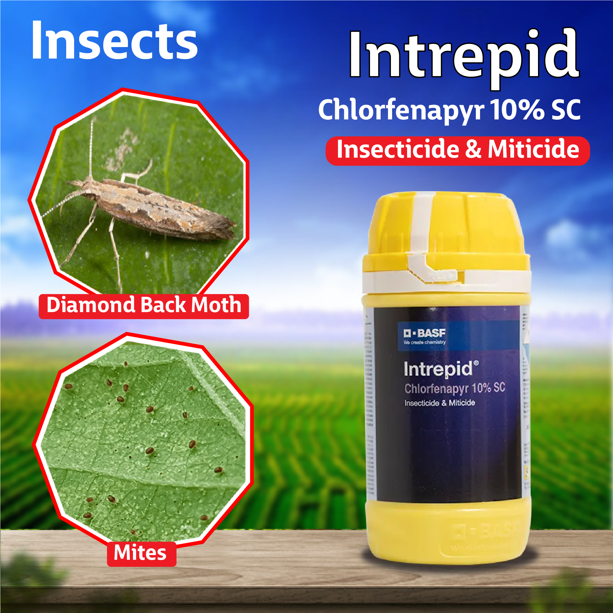 BASF Intrepid Insecticide – Agriplex