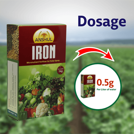Anshul Iron (Ferrous Sulphate 19%) - 1 KG Dosage