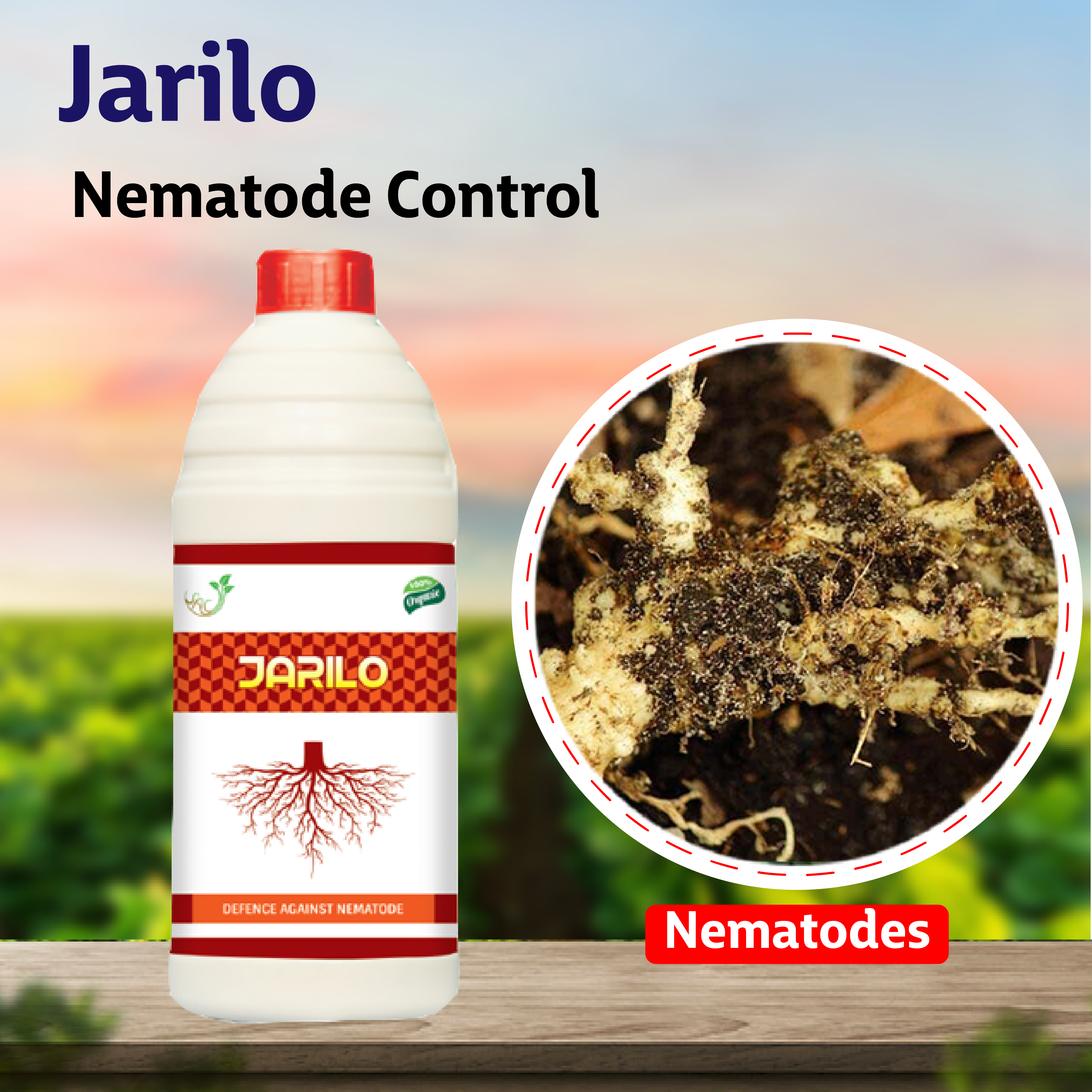 Liquid Nematicide For Nematode Control, Bottle at Rs 450/litre in Surat