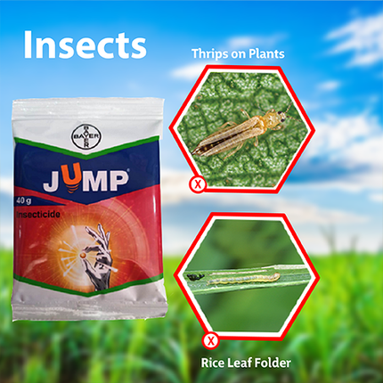 Bayer Jump Insecticide