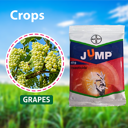 Bayer Jump Insecticide Application