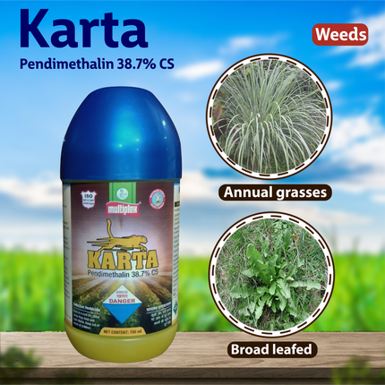 Products Multiplex Karta Herbicide Weeds