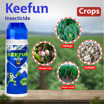 PI Keefun Insecticide - 250 ML Crops