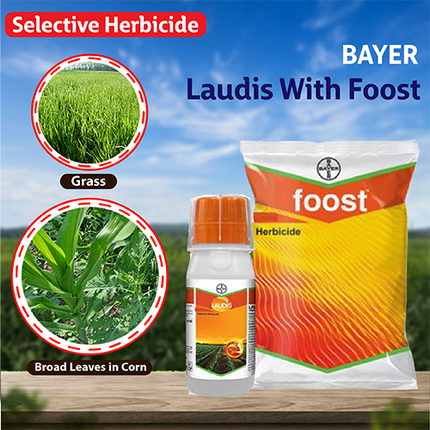 Bayer Laudis + Foost Herbicide Selective Herbicide