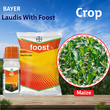 Bayer Laudis + Foost Herbicide Crop