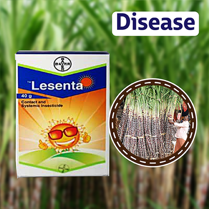 Bayer Lesenta Insecticide Diseae