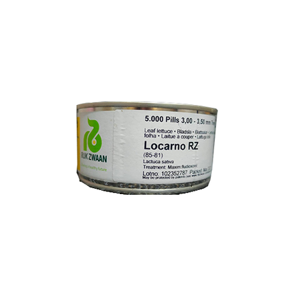 Locarno RZ (85-81) Leaf Lettuce Seeds - 5000 SEEDS