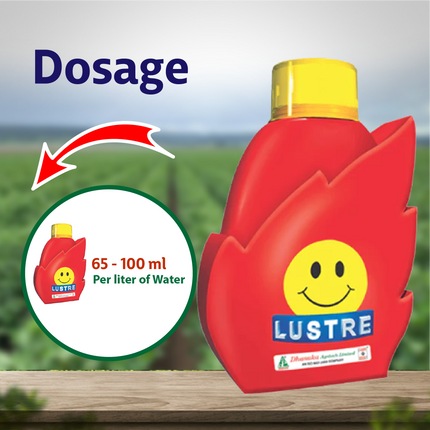 Dhanuka Lustre Fungicide - 84 ML Dosage