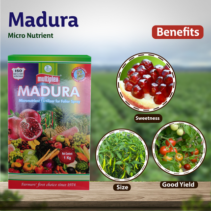 Multiplex Madura Micro Nutrient Benefits
