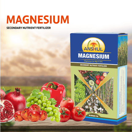 Anshul Magnesium (Magnesium Sulphate (Mg) 9.5 %) - 1 kg