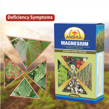 Anshul Magnesium (Magnesium Sulphate (Mg) 9.5 %) - 1 kg Deficiency symptoms