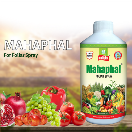 Multiplex Mahaphal (Bio Stimulant)