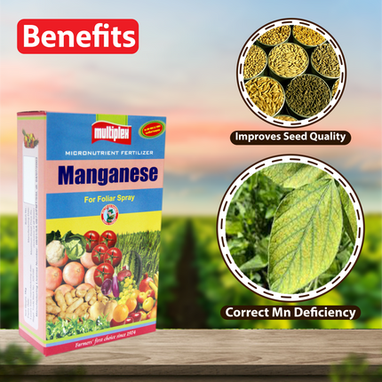 Multiplex Manganese (Micro Nutrient) Benefits