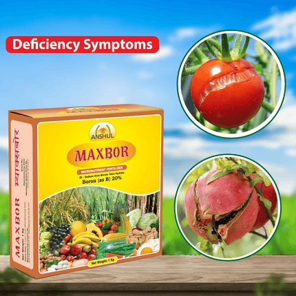 Anshul Maxbor (Boron 20%) Fertilizer Deficiency symptoms
