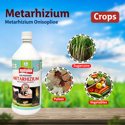 Multiplex Metarhizium Insecticide (Liquid)  Crops
