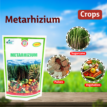 Multiplex Metarhizium (Powder) - 1 KG Crops