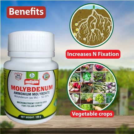 Multiplex Molybdenum (Micro Nutrient Fertilizer) Benefits