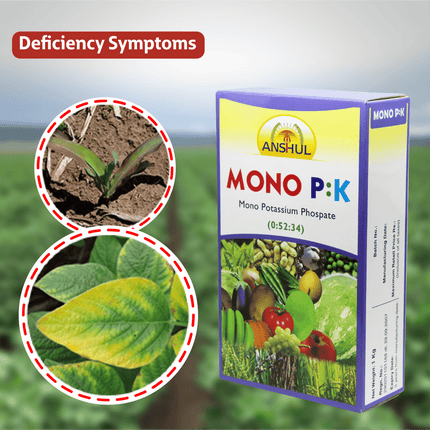 Anshul Mono P:K (00:52:34) Fertilizer - 1KG Deficiency symptoms