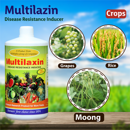 Multiplex Multilaxin (Disease Resistance Inducer) Crops