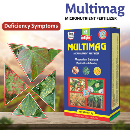 Multiplex Multimag (Magnesium 9.6%) - 1 KG Deficiency symptoms