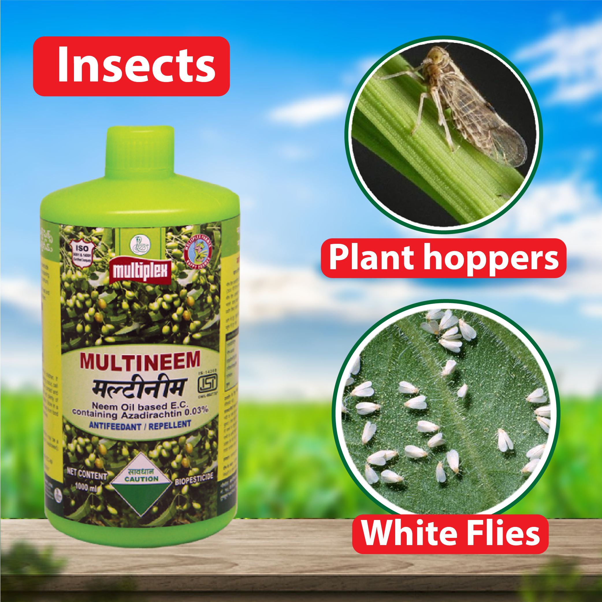 Neem Oil Based Insecticide Stores | www.oceanproperty.co.th