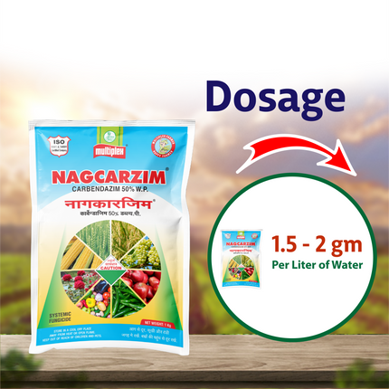 Multiplex Nagcarzim Fungicide Dosage