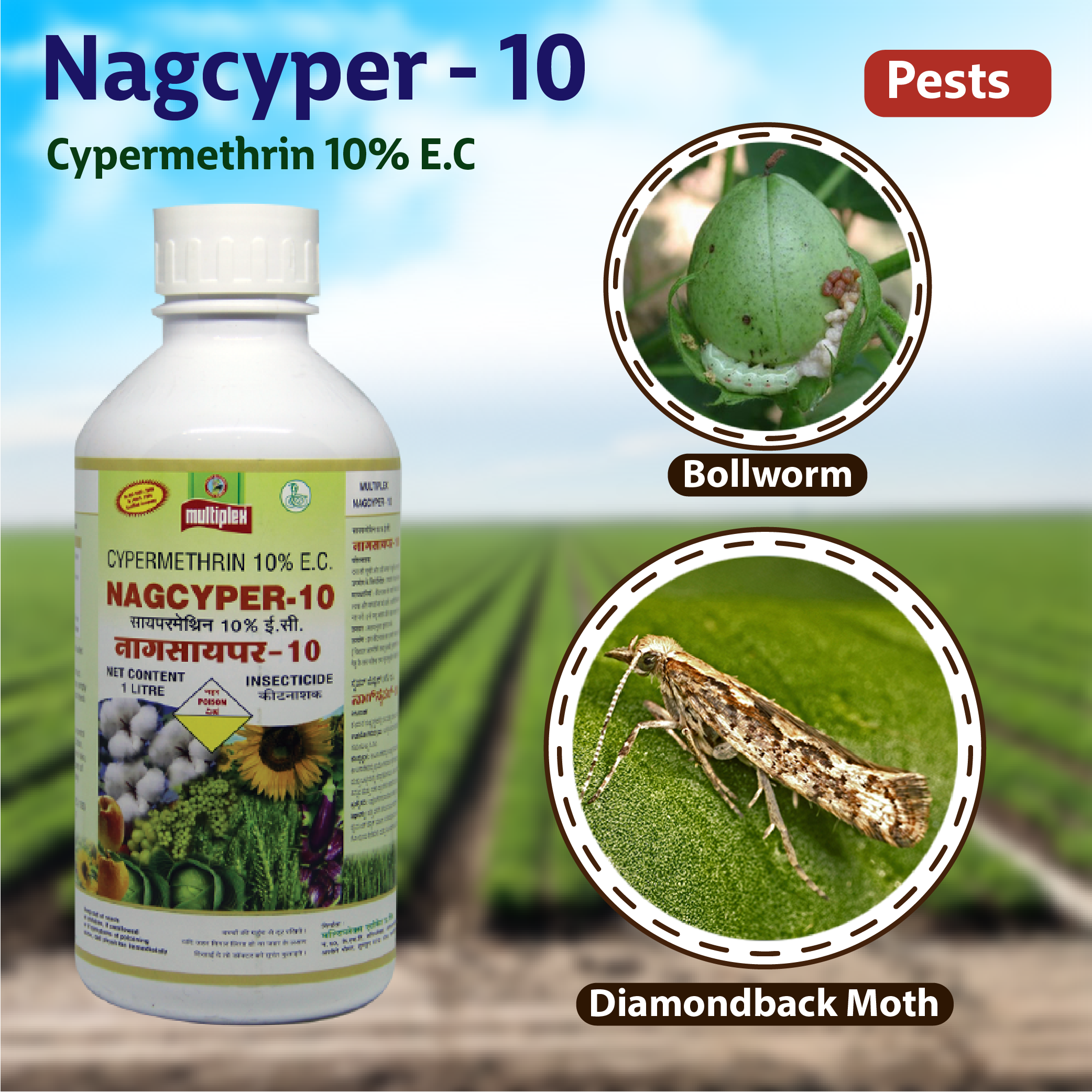Buy Multiplex Nagcyper-10 Insecticide Online at Agriplex India