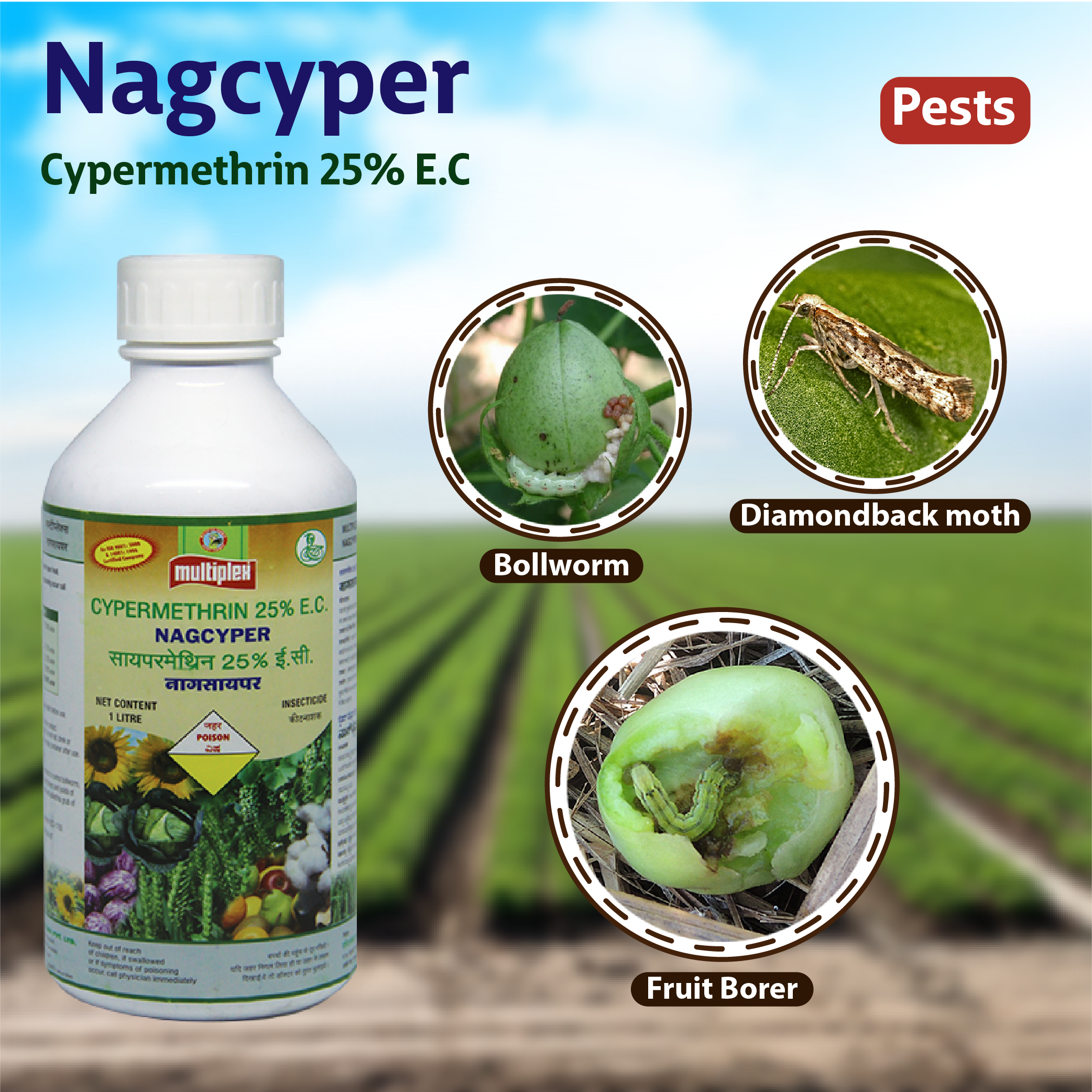 Multiplex Nagcyper Insecticide – Agriplex