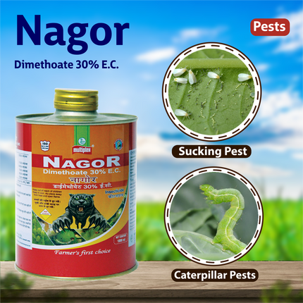 Multiplex Nagor Insecticide