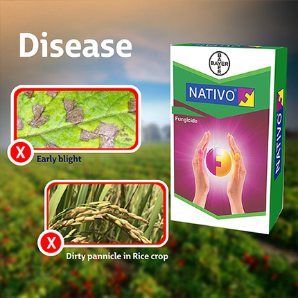 Bayer Nativo Fungicide Disease
